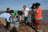 Research Shows Experiential Education on Water Works — UPDATE